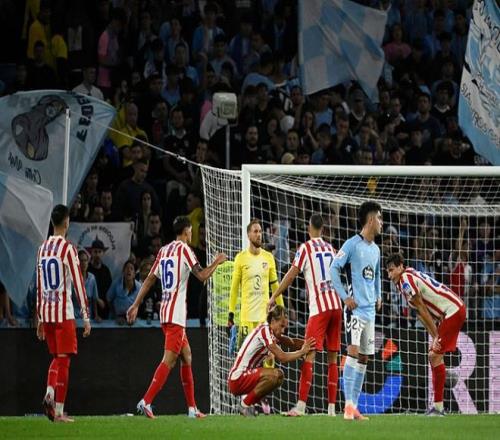 是法庭对动 是法庭对动